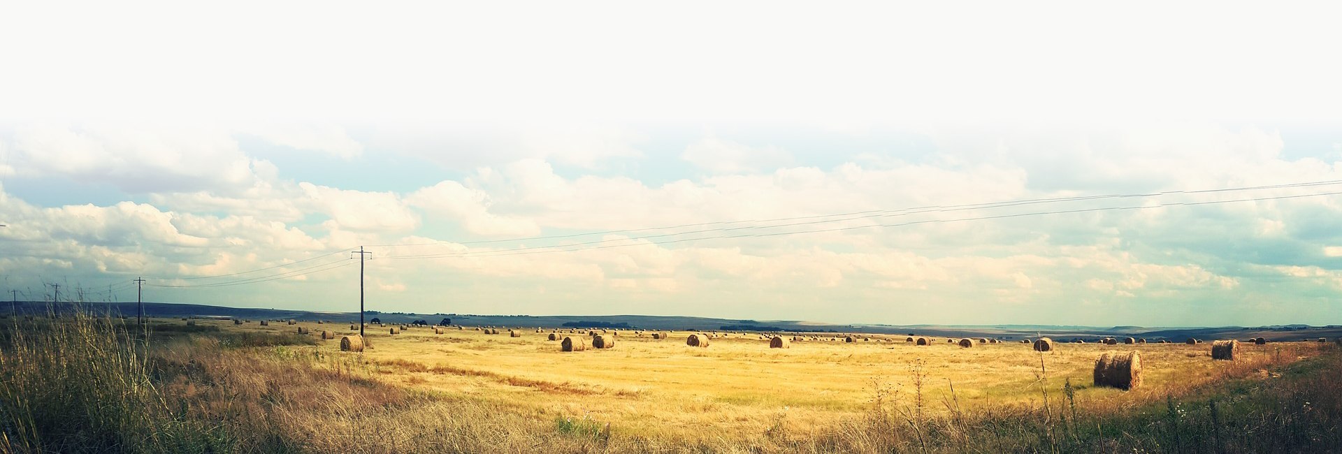 Red bell pepper 150G - Imagem 2